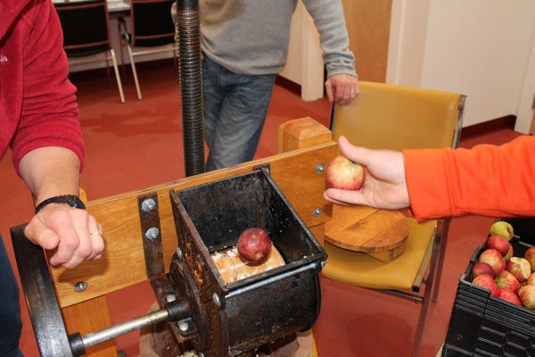 Crushing the apples